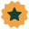 Star icon